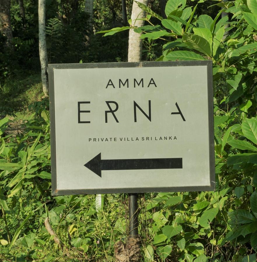 Villa Amma Erna - Galle Exteriör bild